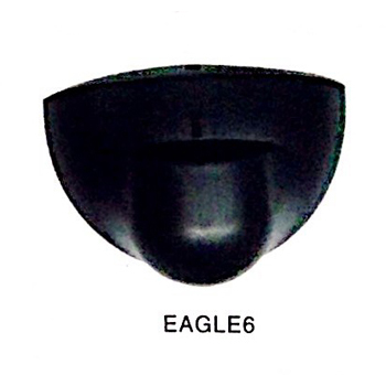 EAGLE6